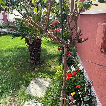 Apartments Villa Stella Maris Rogoznica  Dış mekan fotoğraf