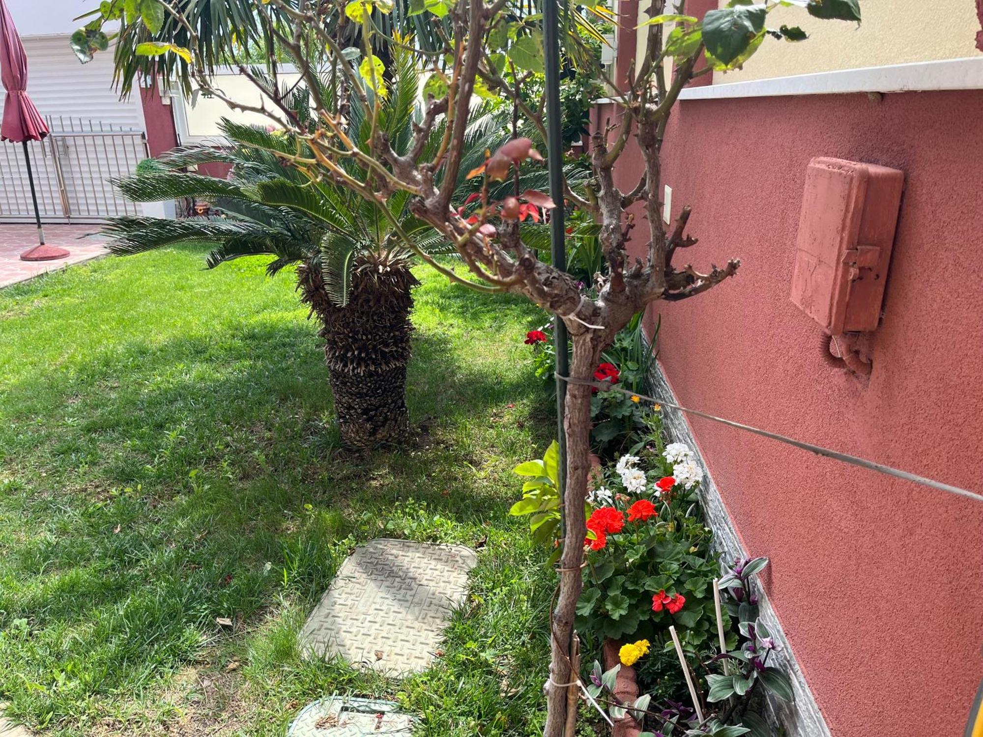 Apartments Villa Stella Maris Rogoznica  Dış mekan fotoğraf